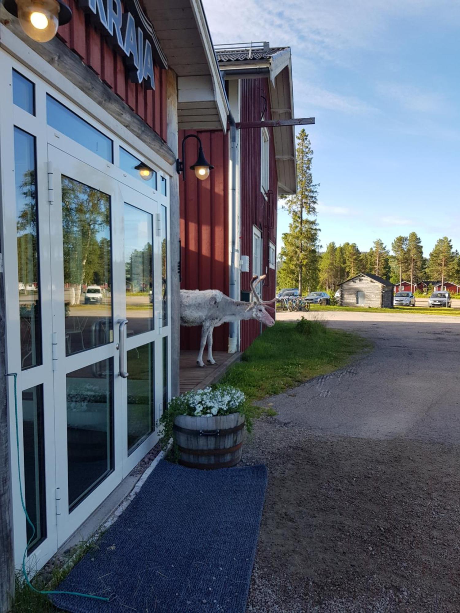 Hotel Kraja Arjeplog Esterno foto