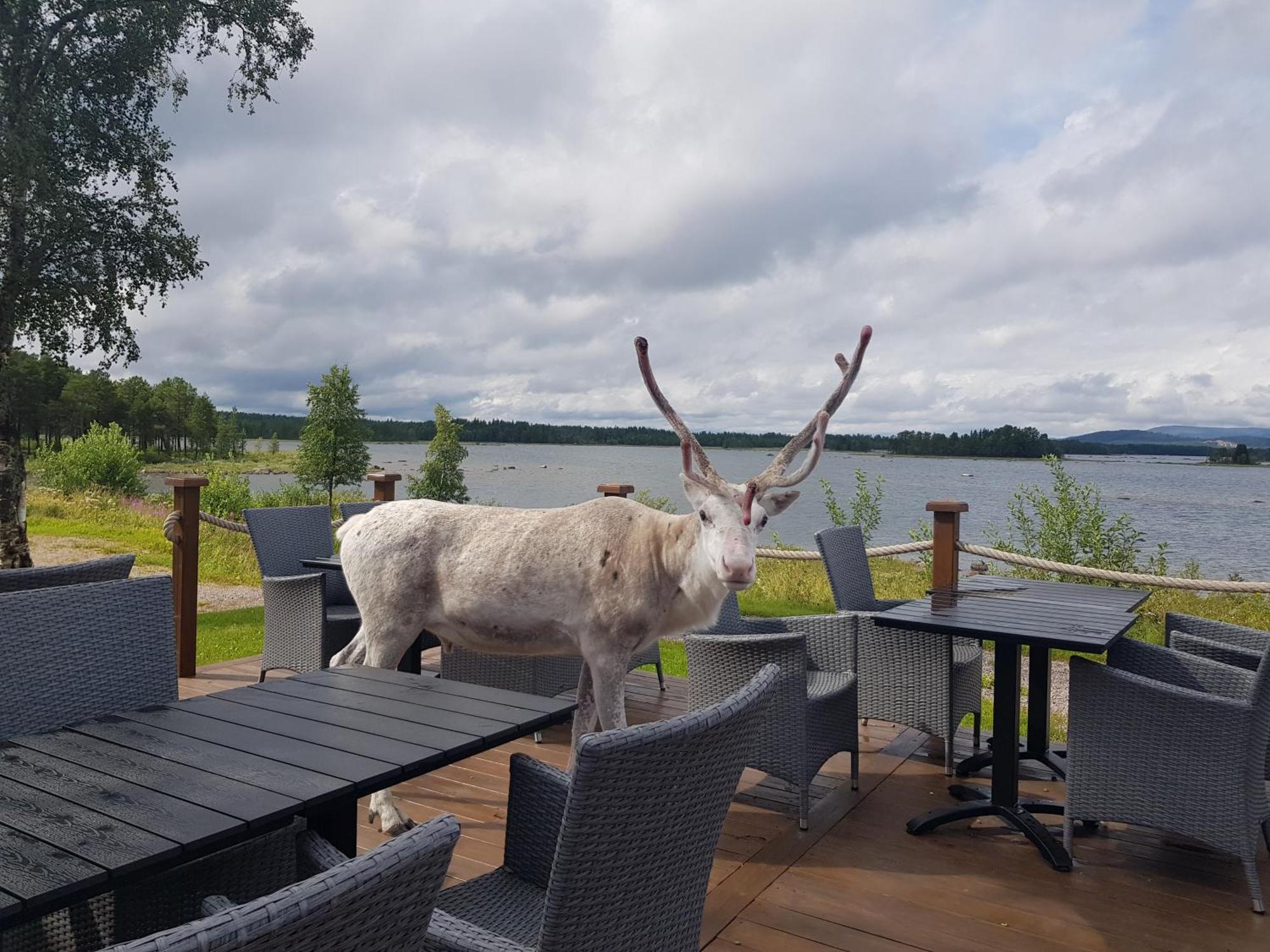 Hotel Kraja Arjeplog Esterno foto