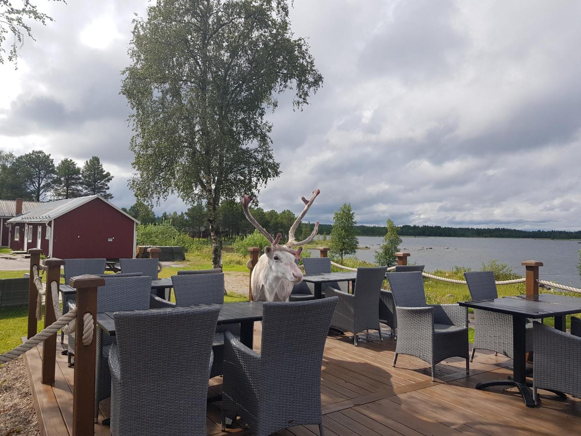 Hotel Kraja Arjeplog Esterno foto